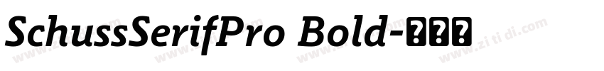 SchussSerifPro Bold字体转换
